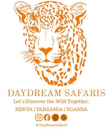 Daydream Safaris ES.